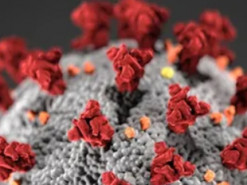 Європу накриває підвид COVID-19 "кентавр": що про нього відомо і чи загрожує Україні епідемія