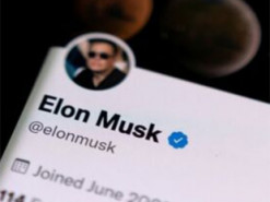 Никому не известная криптовалюта подорожала в 60 раз после покупки Twitter Маском