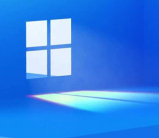 Розглянуті способи уникнути переходу на Windows 11
