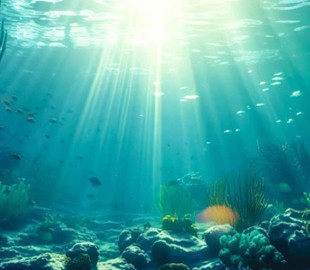 Вчені пропонують генерувати чисту енергію з водоростей