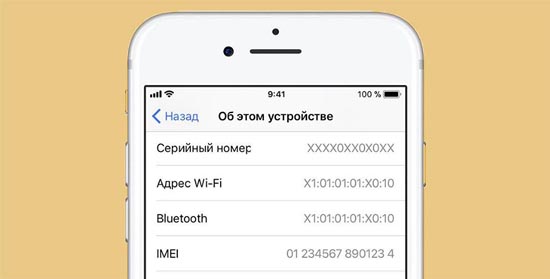 5imei_na_korpuse_6s2.jpg (26 KB)
