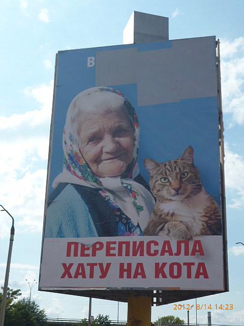 6480x640.jpg (36 KB)