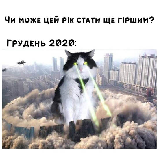 7124425b6b0da68c77a987f722adad3ec.jpg (60 KB)