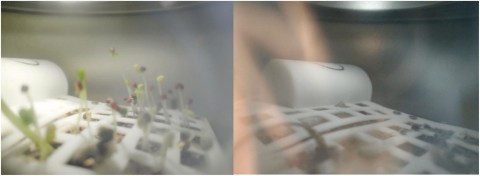 1as6yuXfOom2YuOhbq6OwEdh9hxfqeZ.jpg (15 KB)