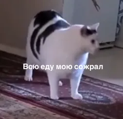 1screenshot231.webp (6 KB)