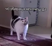 2screenshot221.webp (4 KB)