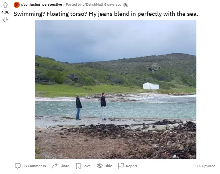 opticheskaya-illyuziya-dzhinsyi-nevidimka2.webp (43 KB)