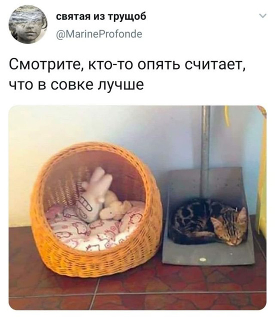 3872903.jpg (99 KB)