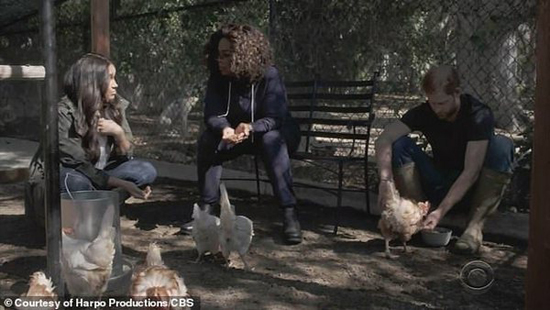 40184752-9336947-The_couple_showed_off_the_hens_they_rescued_from_a_factory_farm_-a-10_1615181688042.jpg (135 KB)