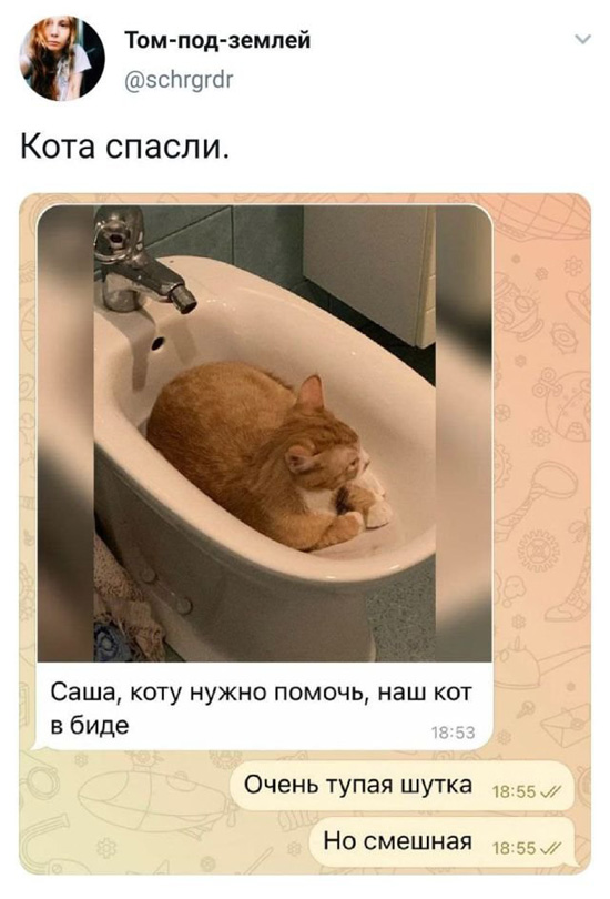 9872951.jpg (120 KB)