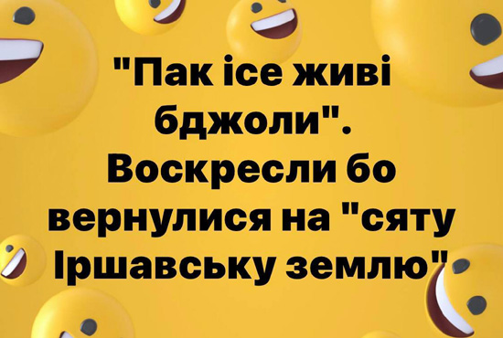 2183854804_1728722003973357_4762467376459923561_n.jpg (91 KB)