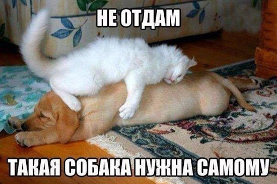 10009ee92246-4545821c8638a143307ee617b2a19340.jpg (74 KB)