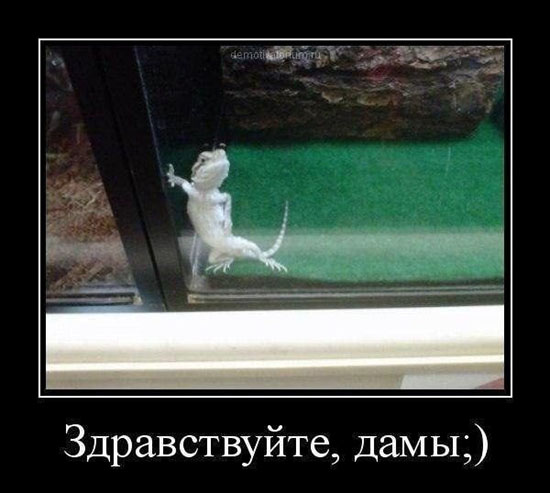 463fd0d4f-4a172fe9219402f77ee548d6c2c30a23.jpg (58 KB)