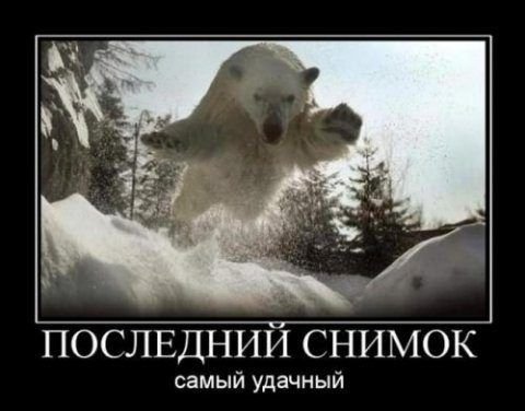 58d0c41e0-5dee694f474a689b90b29404c4908343.jpg (30 KB)