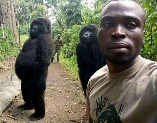 5e738d3bf8f52e9edb6c44461b0b5433f.png (715 KB)