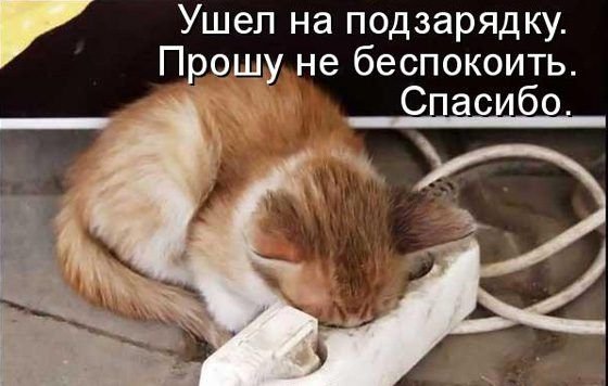 69073a28a-0459a4c347a03ed85e4c53eaca838836.jpg (39 KB)