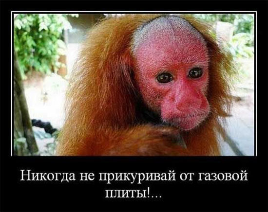 89ef03209-f254c5110abbc90123176c1bf90c5212.jpg (71 KB)
