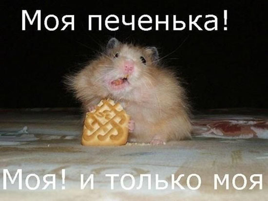 96abaf187-98be029705d8a3def31b9431577648f7.jpg (50 KB)
