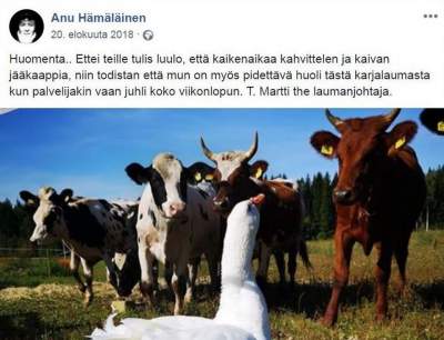 41549627723_gus4.jpg (21 KB)