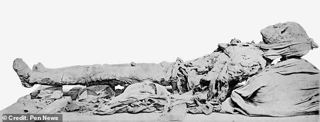 1715850707_627_Meet-the-richest-man-who-ever-lived-Scientists-recreate-the.webp (28 KB)