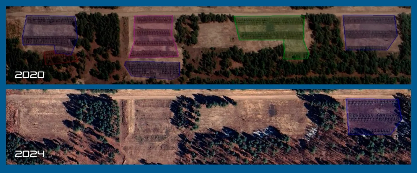 7c3df5470-6e6a4aa52c18ede8f7ef598d71130a97.webp (112 KB)