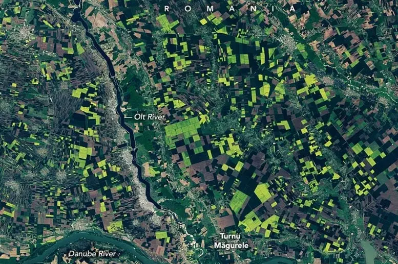 Gold-Captured-From-Space.webp (110 KB)