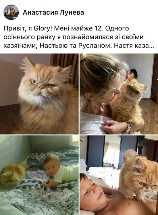 1cbd2e2de-4c2455ae88632eb309d0cf6b59678ba7.jpg (156 KB)