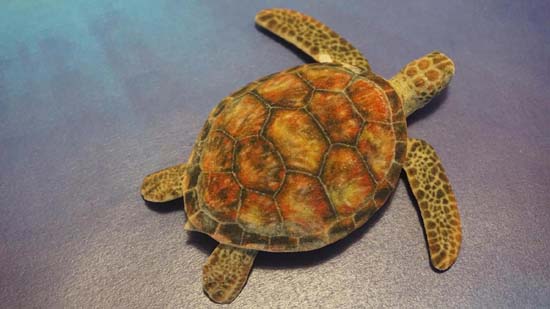 35bdade85-5235-4189-9009-1a2c452f97e9.jpeg (36 KB)