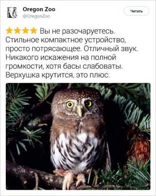 1551873800_zhivotnye2.jpg (27 KB)