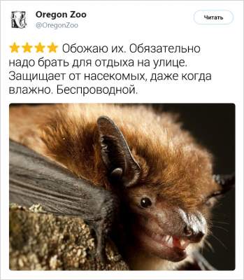 1551873804_zhivotnye8.jpg (25 KB)