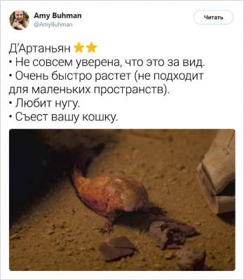 1551873811_zhivotnye12.jpg (20 KB)