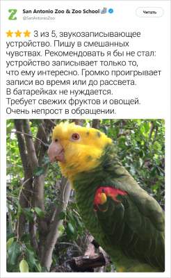 1551873837_zhivotnye10.jpg (23 KB)