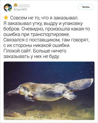 1551873842_zhivotnye6.jpg (23 KB)