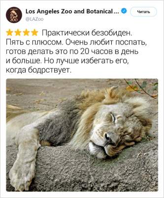 1551873850_zhivotnye3.jpg (30 KB)