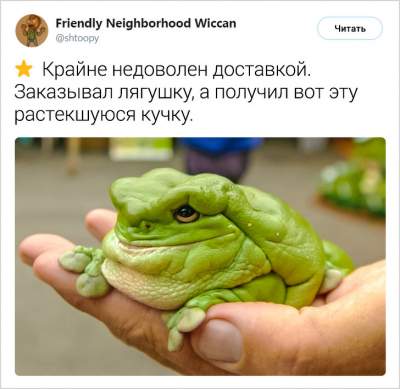 1551873855_zhivotnye4.jpg (22 KB)