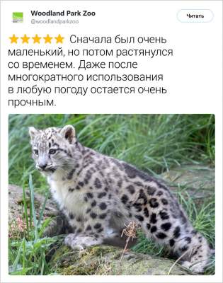 1551873868_zhivotnye7.jpg (26 KB)