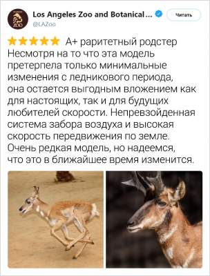 1551873868_zhivotnye9.jpg (28 KB)