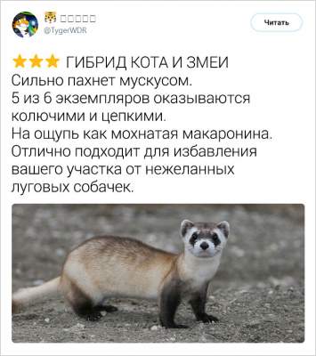 1551873870_zhivotnye13.jpg (25 KB)