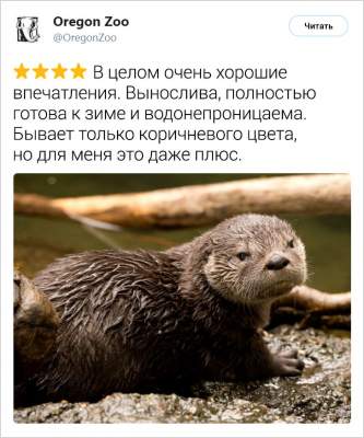 1551873876_zhivotnye.jpg (26 KB)