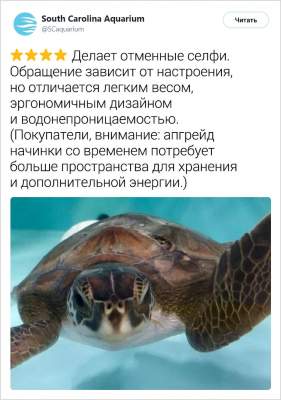 1551873876_zhivotnye14.jpg (22 KB)