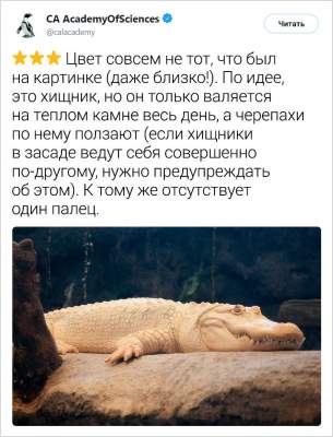 1551873879_zhivotnye5.jpg (24 KB)