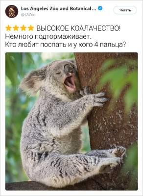 1551873894_zhivotnye15.jpg (23 KB)