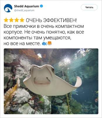 1551873900_zhivotnye11.jpg (25 KB)