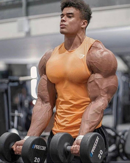 1851657_big.jpg (80 KB)