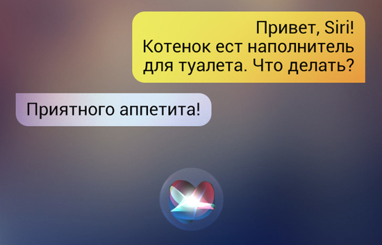 3948521.jpg (114 KB)