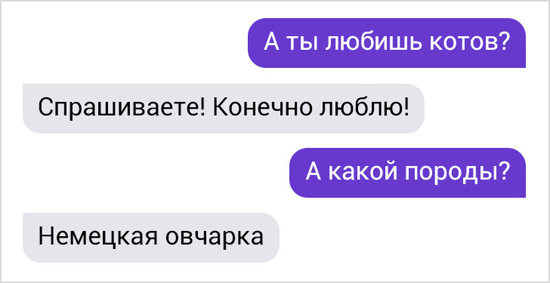 5948523.jpg (63 KB)