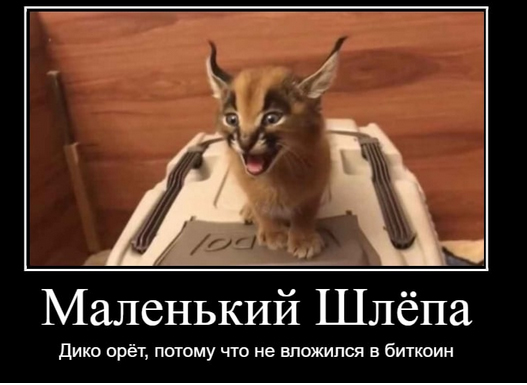 3212424241111.jpg (106 KB)