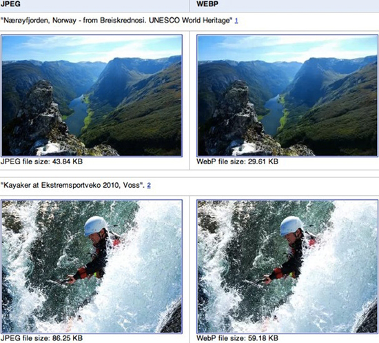 1111111101.jpg (247 KB)