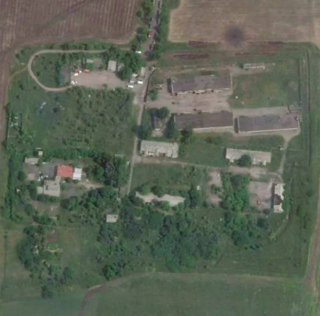 1photo2022-07-1111-32-37-2.webp (66 KB)