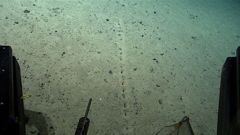 dive04-sublinear-sets-800.jpg (85 KB)